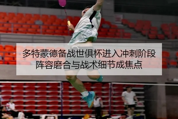 多特蒙德备战世俱杯进入冲刺阶段 阵容磨合与战术细节成焦点